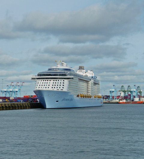 cruise terminal zeebrugge restaurant
